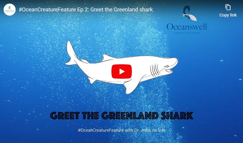 Episode 2: Greet the Greenland shark 9