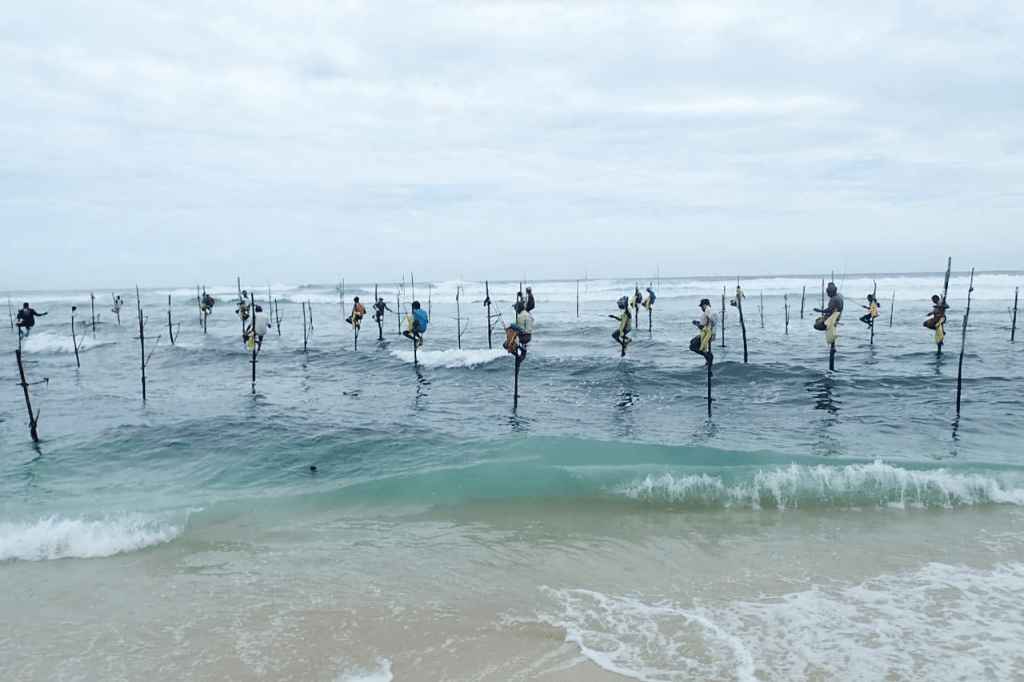 Oceanswell COVID-19 and Fisheries Project 5