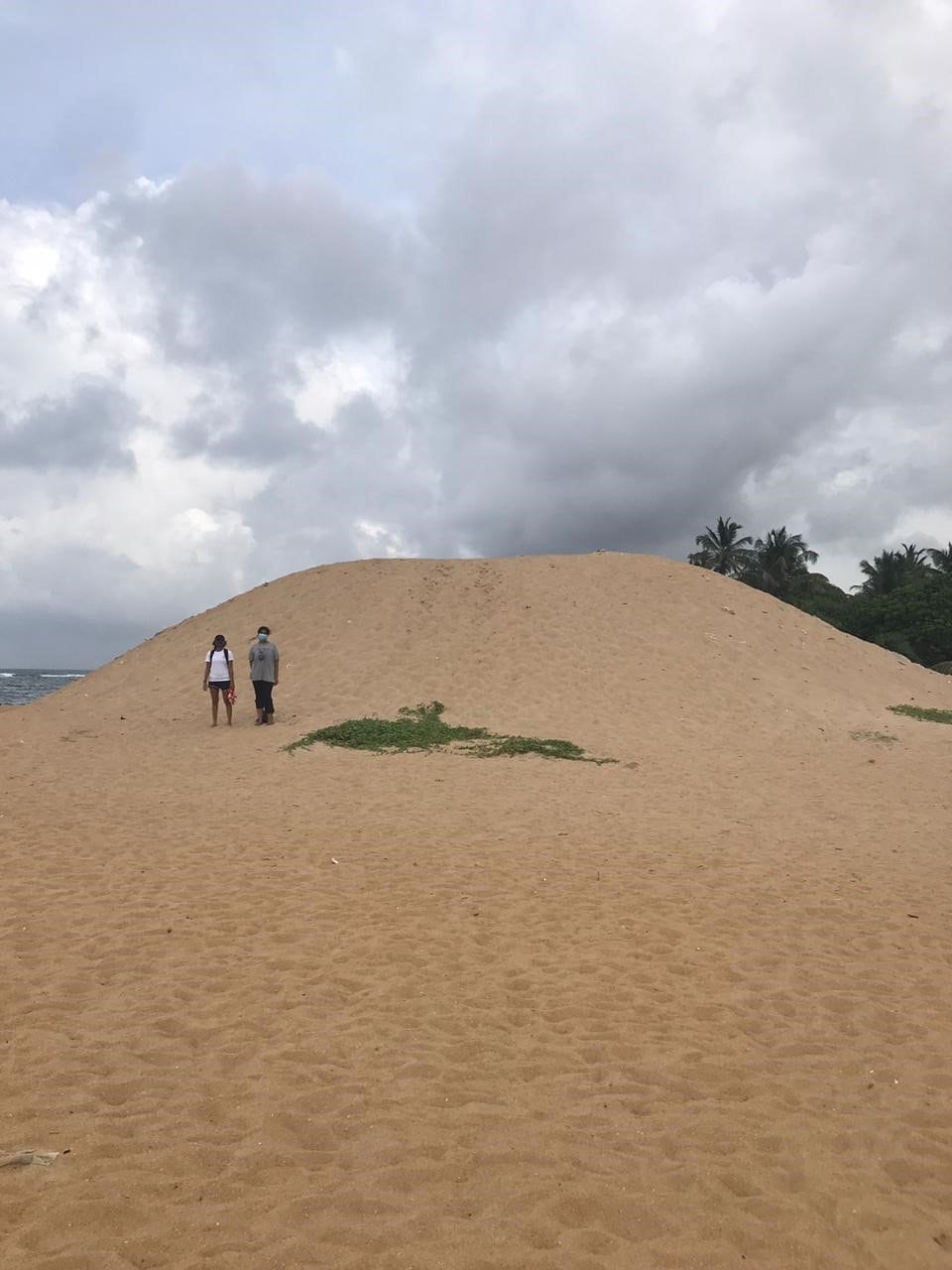 Coast Conservation and Coastal Resource Management Department (CCD) claims success, science says otherwise 2