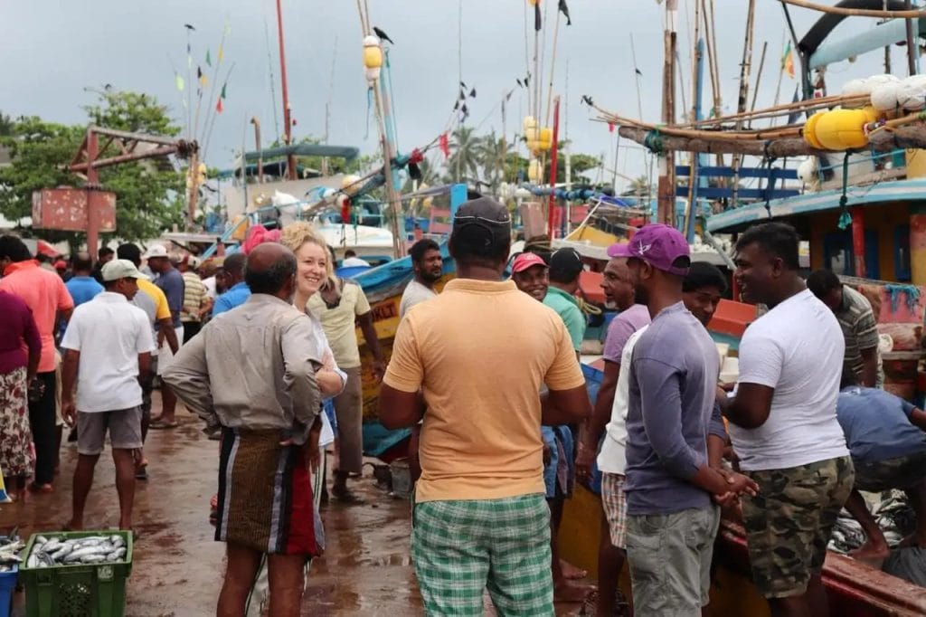 Social drivers for illegal shark fisheries 1